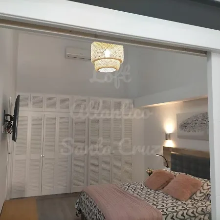 Loft Atlantico Cruz Apartment Santa Cruz de Tenerife